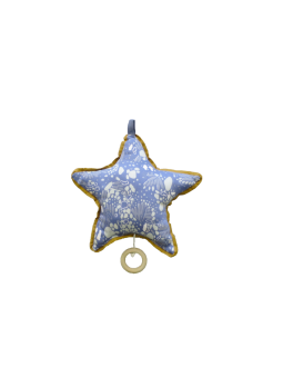 CARILLON SEA STAR